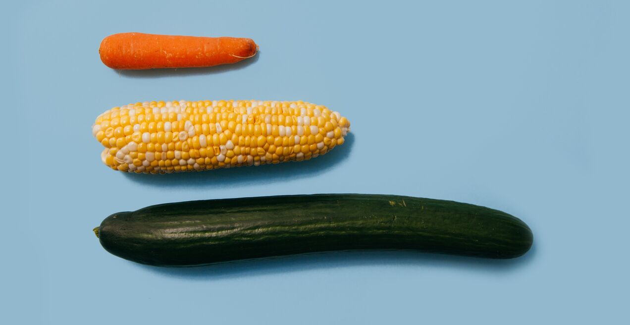 tahap pembesaran zakar pada contoh sayur-sayuran