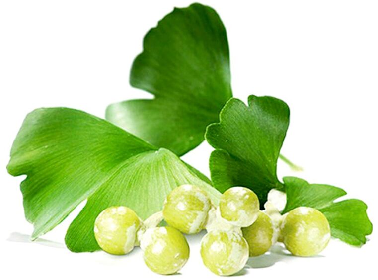 Daun ginkgo biloba meningkatkan peredaran darah dalam tisu zakar